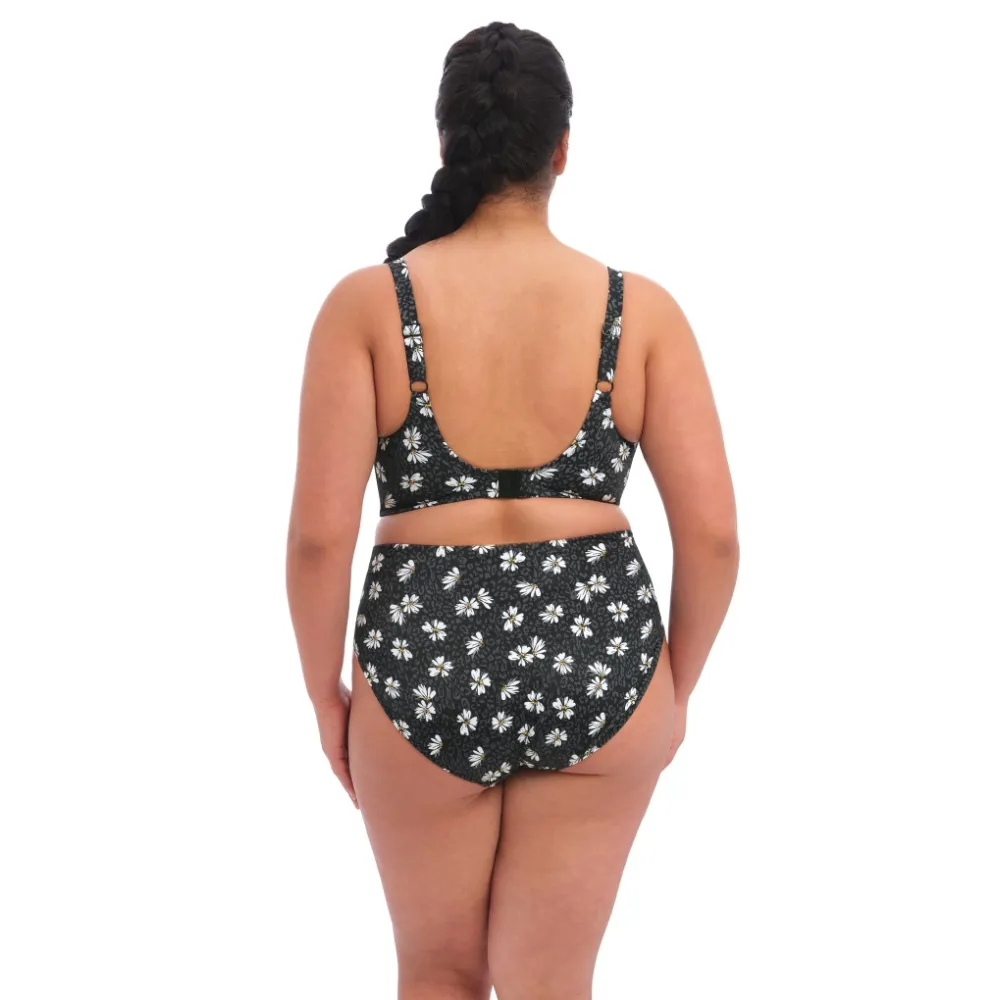 Elomi Plain Sailing black daisy figi bikini do stroju kąpielowego