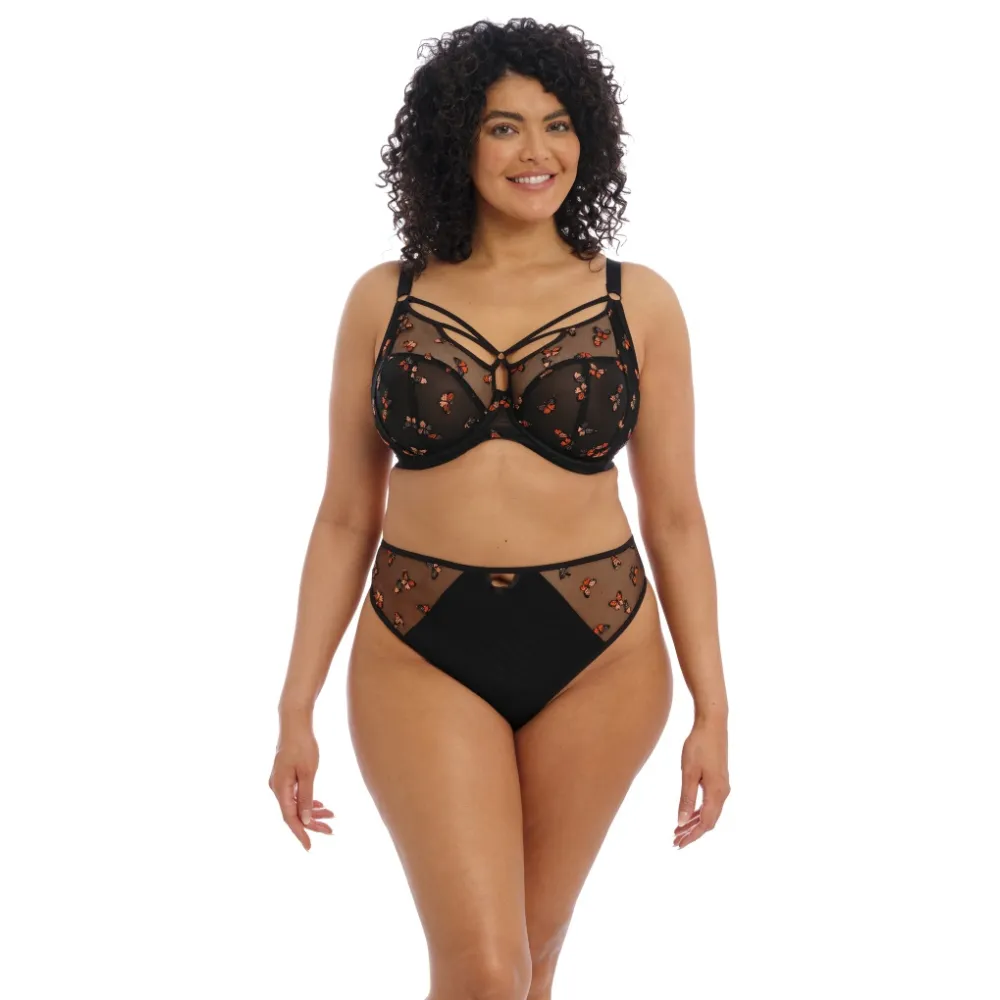 Elomi Sachi  black butterfly stringi