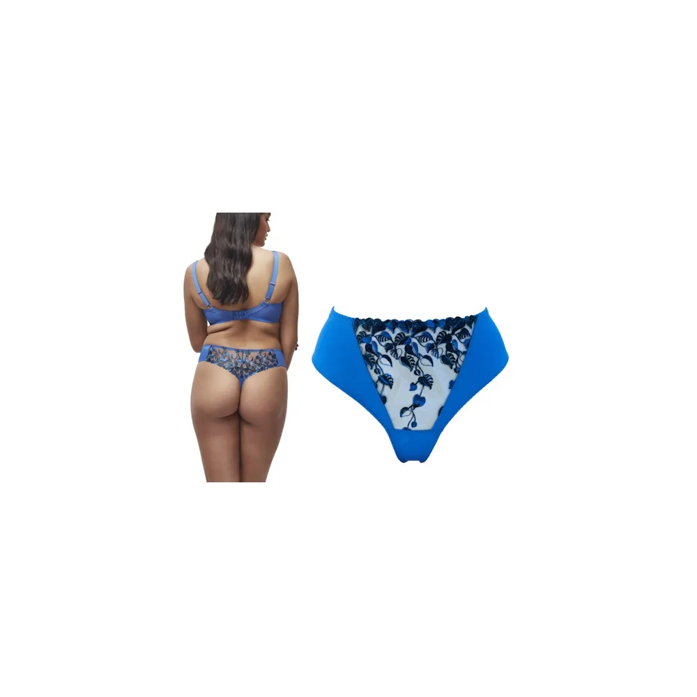 Dalia Indigo chaber stringi