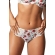 Panache Nina english rose figi brazyliany