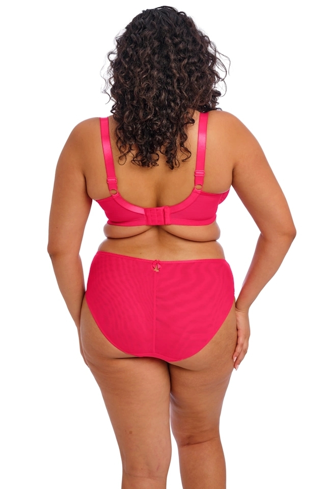 Elomi  Teagan azalea figi high leg