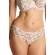 Panache Allure bloom figi brazyliany